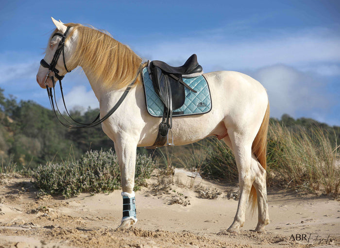 Baby Blue Saddle Pad Set