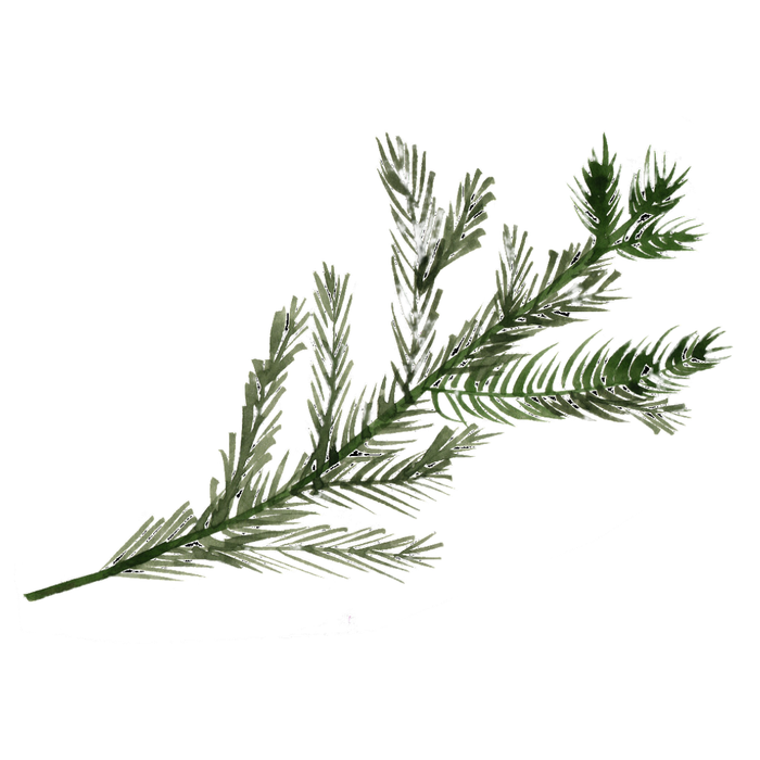 Balsam Perfume Bar for Bridal Showers, Retreats, Boutiques, Events