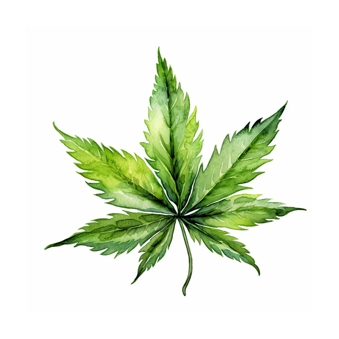 Cannabis Perfume Bar for Bridal Showers, Retreats, Boutiques, Events