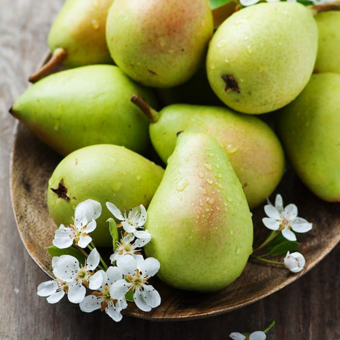 Jo Malone Type English Pear & Freesia