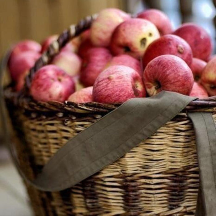 Farmstand Apple, BBW Type, Bath & Body Works Dupe, Soy Candle, Body Butter, Fragrance, Scent Scented, Sugar Scrub, Aloe Gel, Soy Candle