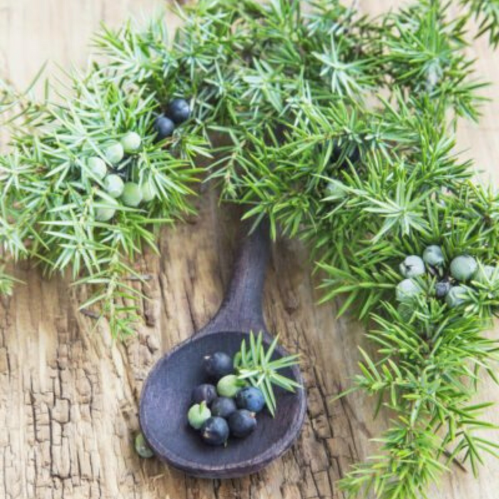 Lush Duper Jumping Juniper