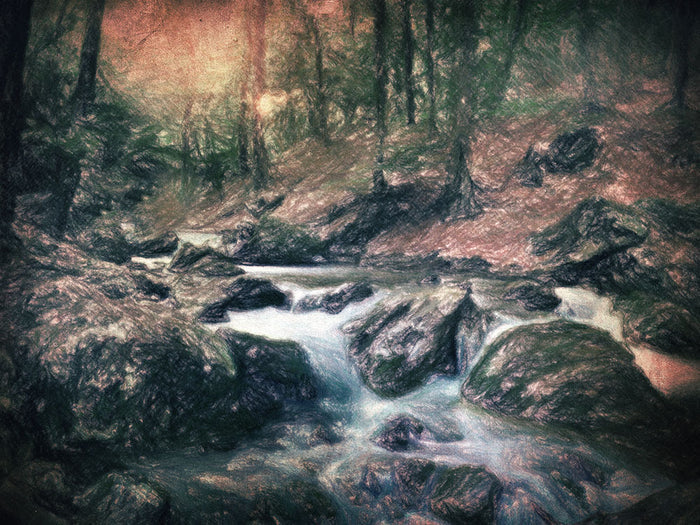 Reverie au bord de l'eau - Art Print - Zapista