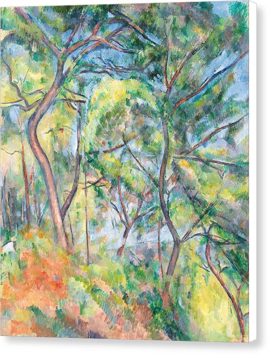 Sous-Bois - Canvas Print