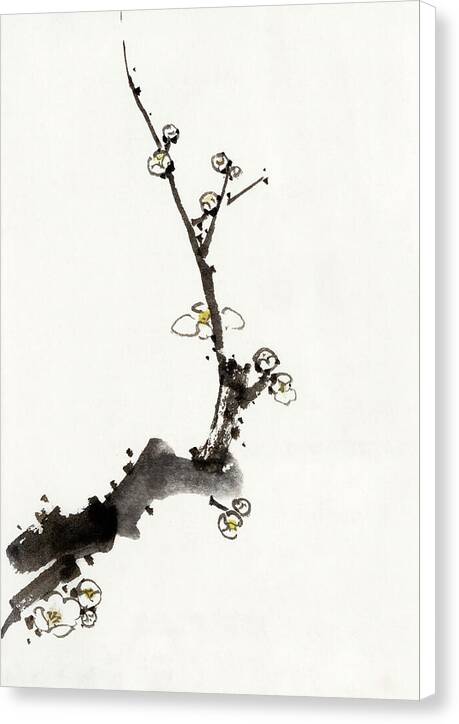 Tree Branch - Canvas Print