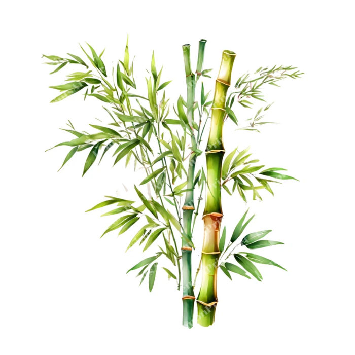Bamboo Perfume Bar for Bridal Showers, Retreats, Boutiques, Events