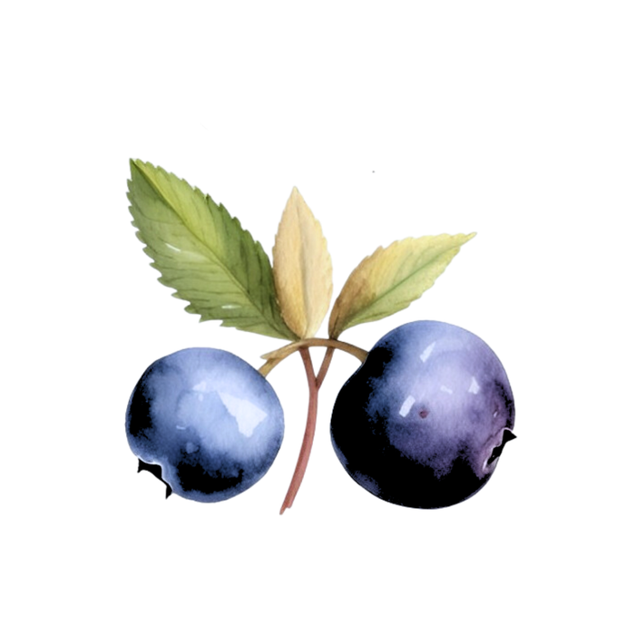 Blueberry Perfume Bar for Bridal Showers, Retreats, Boutiques, Events
