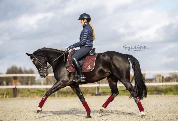 Burgundy Saddle Pad Set