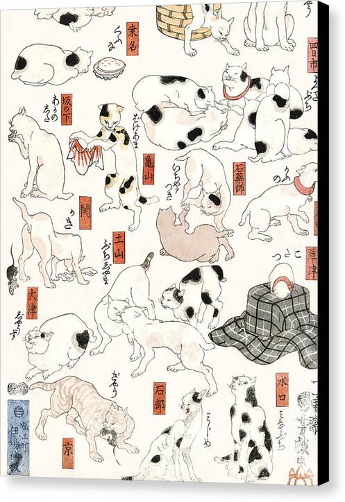 Cats - Canvas Print