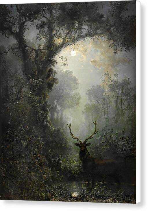 Deer in the Forest - Canvas Print