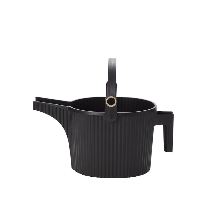 Large Black