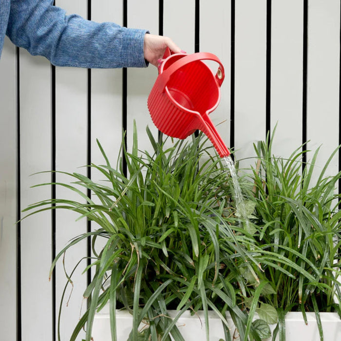 Hachiman Garden Beetle Watering Cans | Chilewich