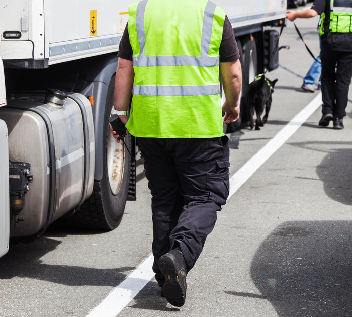 A person in a high-visibility vest walking alongside a truck with a detection dog on a leash.