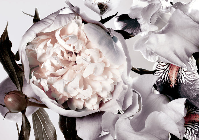 Peonies and Iris | Framed Print