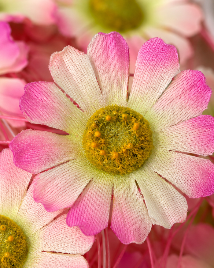 Artificial daisy flower close-up with pink and white petals and yellow center