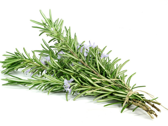 Rosemary essential oil 10ml