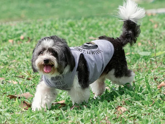 Sublimation Blank Dog Top Tank T-Shirt